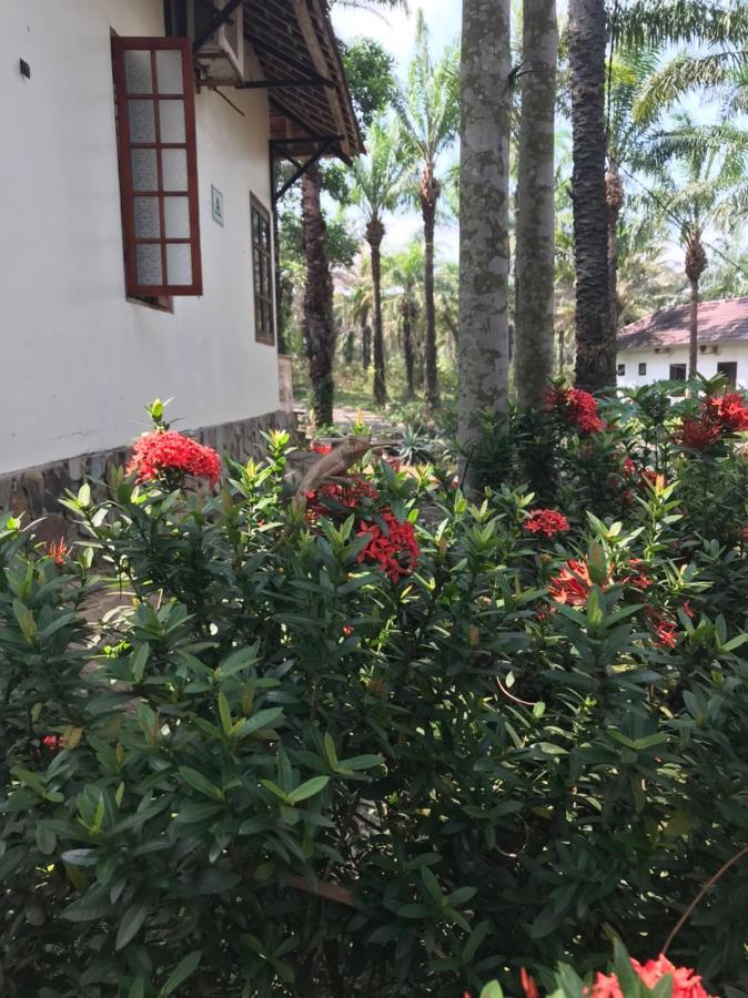Hotel Palm Garden House à Quang Tri Extérieur photo